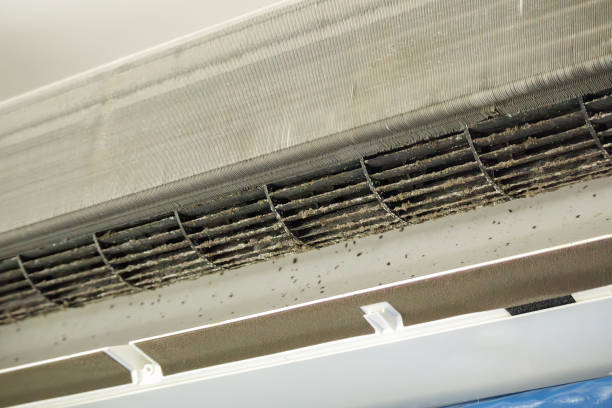 Best Duct Cleaning for Offices  in Shawano, WI