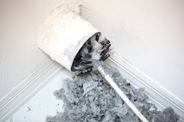 Air Duct Mold Removal in WI